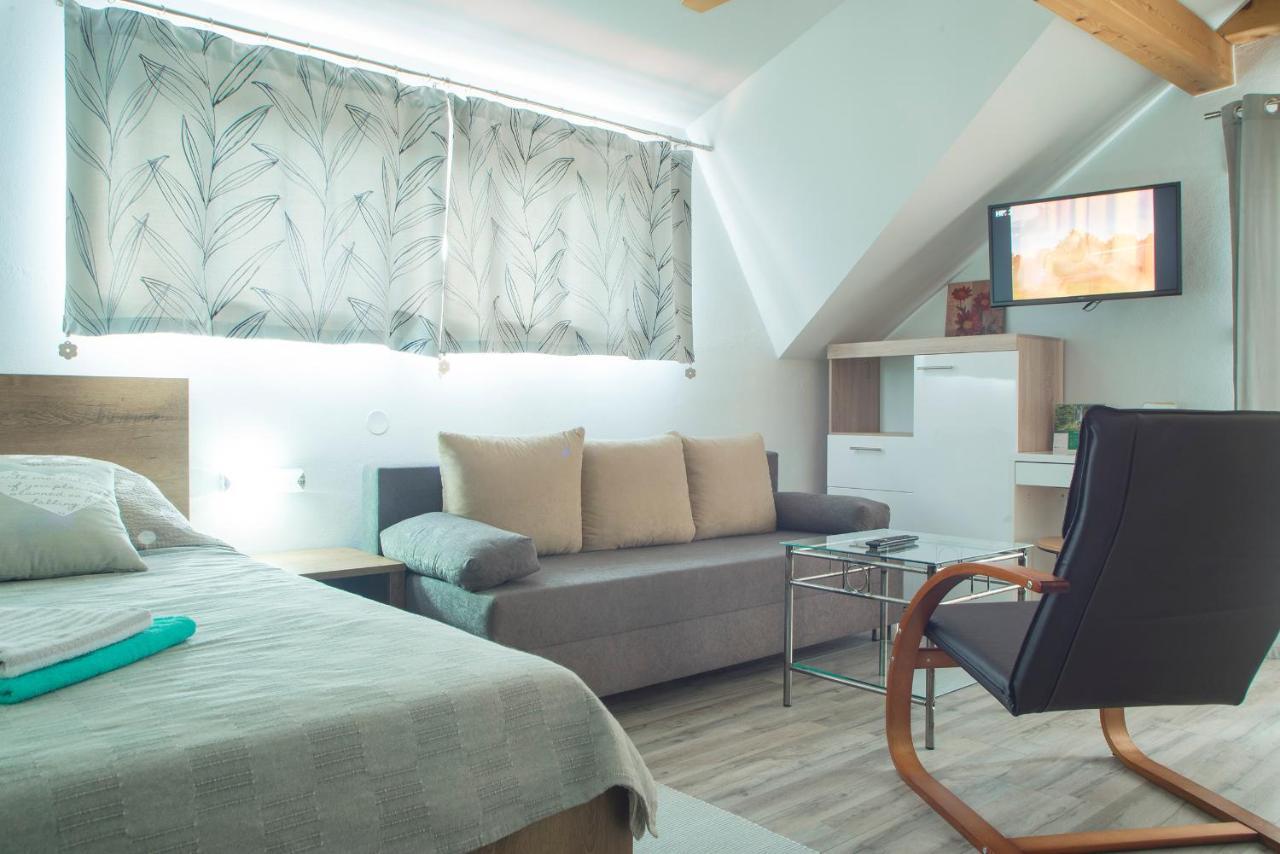 Studio Apartment Karlo Dreznik Grad Екстер'єр фото