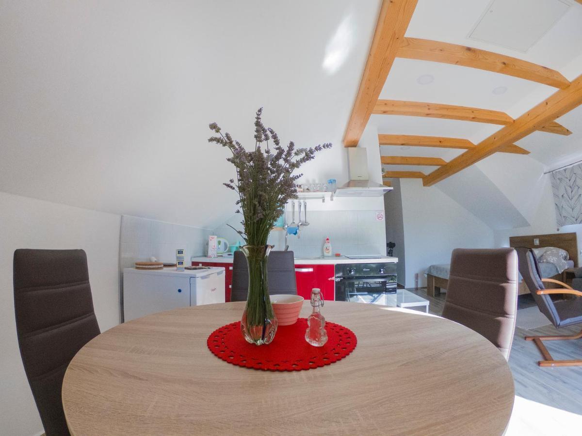 Studio Apartment Karlo Dreznik Grad Екстер'єр фото